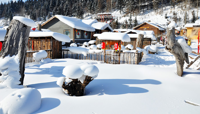 梦见下大雪建房子