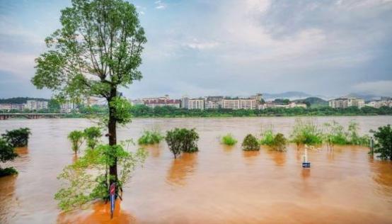 梦见发大水是什么意思,什么征兆