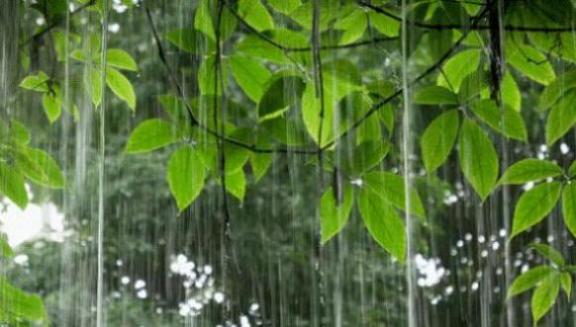 梦到刮风下雨很大是什么意思