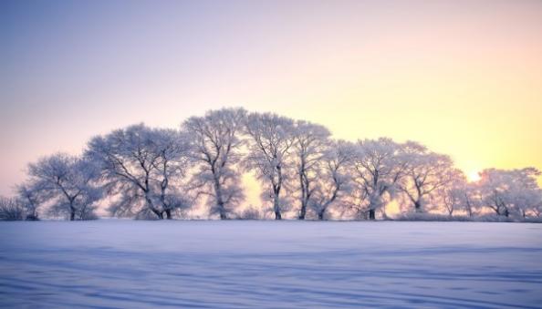 做梦下雪了是什么意思