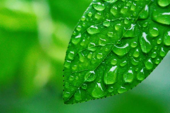 梅雨季节是什么时间:6-7月份