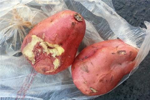 梦见烧红薯是好的征兆吗