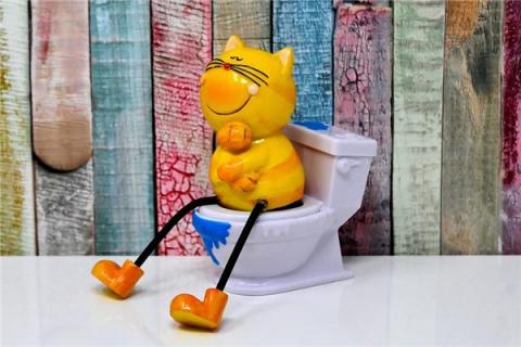 梦见拉屍的预兆